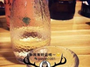 花手西施出装顺序攻略——打造最强输出（西施出装攻略，一步步引爆战场）