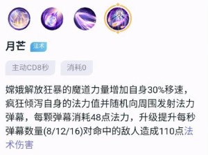 《明世隐出装铭文攻略》（优化明世隐战斗表现，打造无敌世隐！）