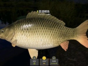《俄钓4149技能加点攻略》（提高游戏技能的关键点和战术策略）