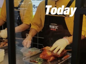 烤鸭技能提升攻略教学（如何成为一名烤鸭大师）