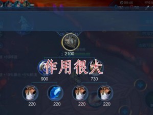 冰心副本技能加点攻略（提升技能效果！充分利用冰心副本技能的关键加点！）