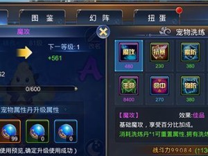 掌握神谕牌攻略技巧，预见未来的关键（揭秘神谕牌的使用技巧，让你成为命运的主宰！）