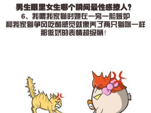 超级神鸡6技能搭配攻略（打造最强神鸡团队，征服每个战斗场景）