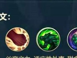 猴子符文与出装攻略（探索猴子符文搭配和最佳装备，攀登猴王巅峰！）