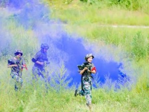 涅槃重生融合技能加点攻略（探索最优技能加点方案，实现强力重生融合）