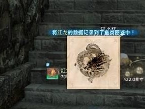 红玉喵技能选择攻略（攻略成都，红玉喵技能最佳搭配全解析）