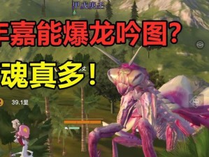 奇点监牢技能搭配攻略（奇点监牢技能搭配攻略及关键点解析）