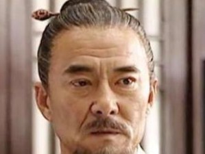 大明英豪抗倭记攻略（英勇抵御外敌，捍卫国土尊严）