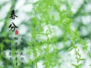 春分技能搭配攻略