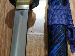 《以执剑之刻青波征一郎武士阵容搭配攻略》（打造最强武士阵容，助你征战江湖）