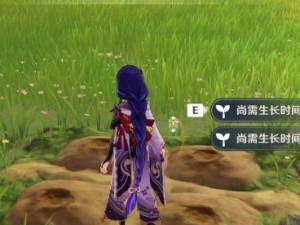 原神梦里生花活动2月攻略：如何轻松完成任务