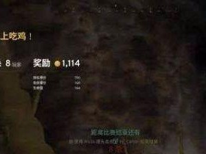 吃鸡手游攻略（打造无敌战队，成为最后的赢家！）