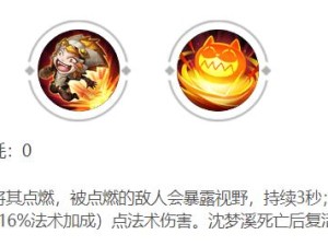 端游猫咪出装思路攻略（为你揭秘端游猫咪的最佳出装方案，助你在战斗中脱颖而出！）
