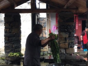以村庄生存者攻略（如何在村庄中保证生存并蓬勃发展）