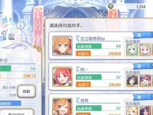 公主连结国服保护费，是真的必要吗？（理解公主连结国服保护费的意义）