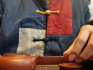 《对战森林壶壶技能搭配攻略》（打造最强森林队伍，壶壶技能让你无敌！）