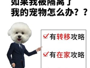 《修真江湖宠物技能攻略》（探索修真江湖，打造最强宠物技能！）