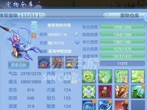 《解密神武4宠物技能释放，打造无敌阵容》（掌握关键技巧，让你战无不胜！）