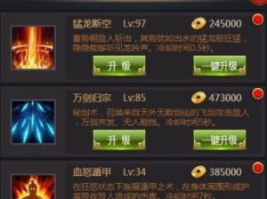 圣枪女皇技能搭配攻略（灵活运用技能加强输出，掌握关键节奏，实现最大伤害！）