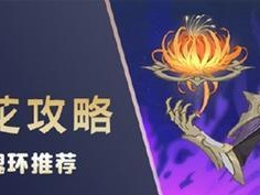 《探索海马魂环技能加点的攻略》（海马魂环技能加点的最佳选择与使用技巧）