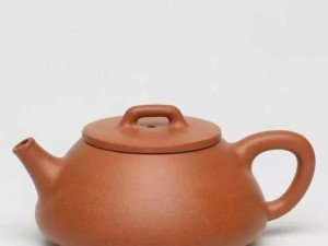 壶壶技能搭配攻略（掌握关键技能，打造无敌阵容）
