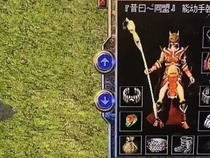 《热血传奇百区技能介绍攻略》（了解百区技能，成就辉煌征程！）