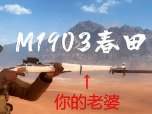 战地1配枪攻略（从头号步枪到精准狙击枪，打造你的最佳配枪方案）