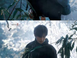 寡妇小傅出装攻略（精准输出，闪避伤害，打造无敌寡妇）