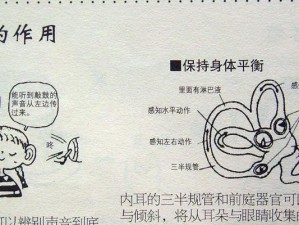 培养子女技能，让未来更加光明（如何通过科学方法帮助子女培养出色技能？）