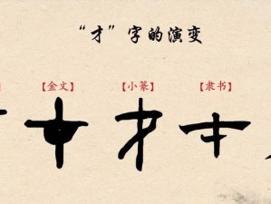 诸葛小九出装铭文攻略（打造高输出的诸葛小九，铭文装备一网打尽）