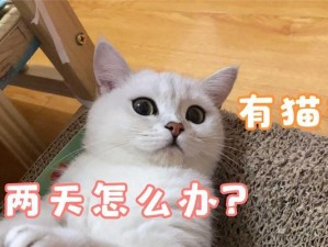 《探寻变成猫的日子攻略》（变成猫咪的秘密与乐趣，揭秘变身的奇妙之旅）