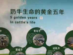 探索顶级跑马牧场的攻略指南（精彩马术体验尽在顶级跑马牧场）