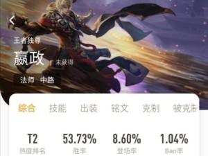 征服嬴政之路（打造无敌法师操控力，掌控嬴政之路！）